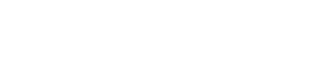 Surlex Logo